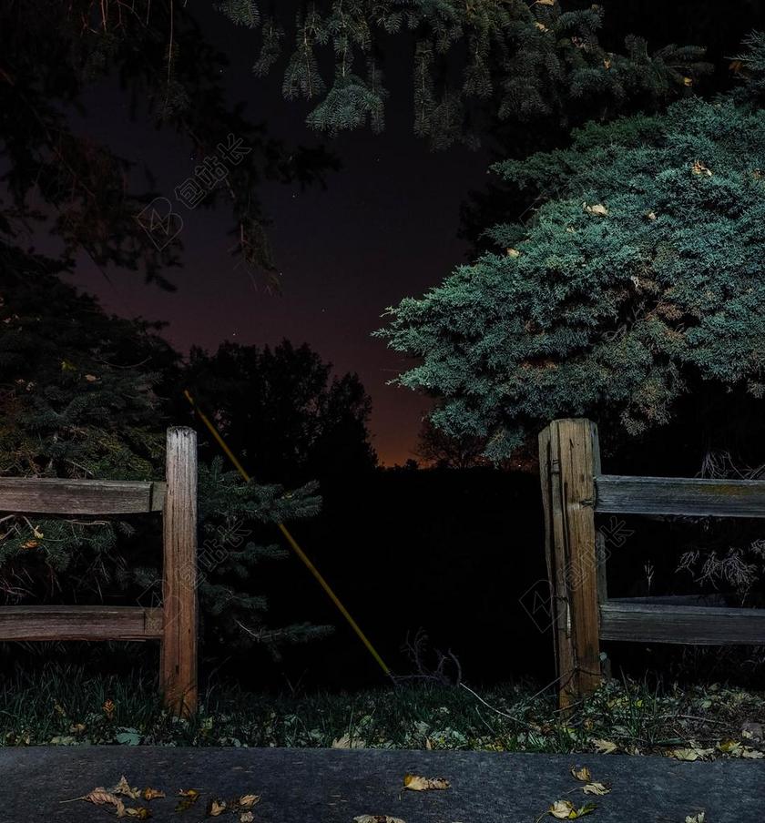 星空 星星 闪光 明星 夜晚 晚上 黑夜 黑暗 灯光 霓虹灯  日落 夕阳 太阳 花园 园林 园艺 植物 花 树木 丛林 森林 书 书籍 阅读  自然 环境 树 树木 树林 森林