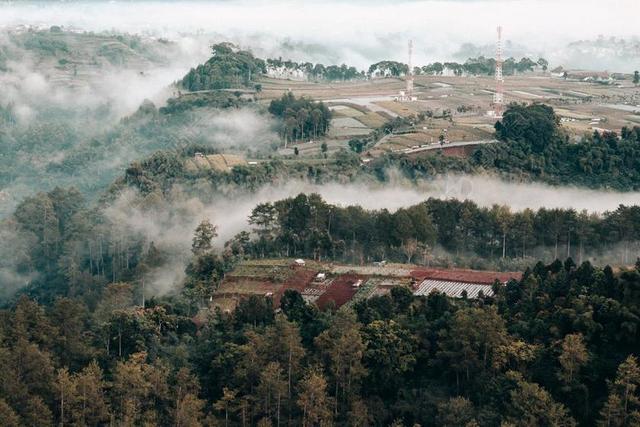 风景 风光 美景 田园 山水  农场 农田 庄园 朋友 友谊 友情  树木 丛林 森林 云 云朵 天空 树 树木 树林 森林