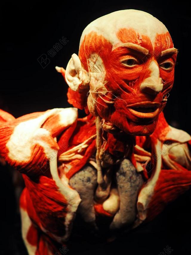 红色人体艺术背景图片