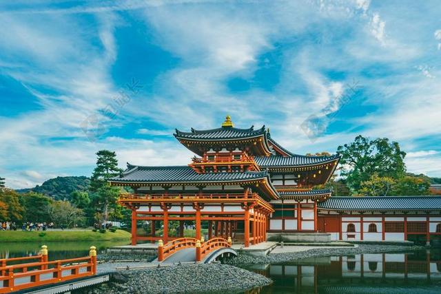 建筑 大厦 建筑物 建设  天空 树木 丛林 森林 树 树木 树林 森林 日本 城市 现代生活  建筑 结构 建筑物 建筑学