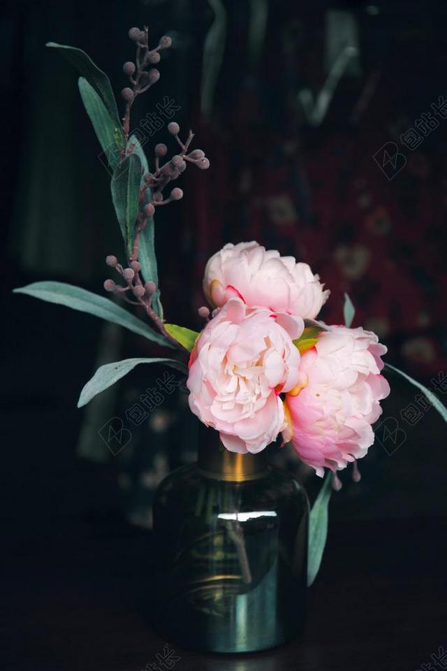 花 玫瑰 美丽 花朵   丽人 优雅 美丽 漂亮 女孩 女人 女性 商场 店铺 商家 购物  爱情 恋爱 恋人 情人 情侣 浪漫 家 家园 家居 故乡 美丽 休闲 放松 休闲  厅 秋天 秋日  可爱的 窗户 IPHONE 苹果 苹果手机 商务 中国 文化 东方 亚洲