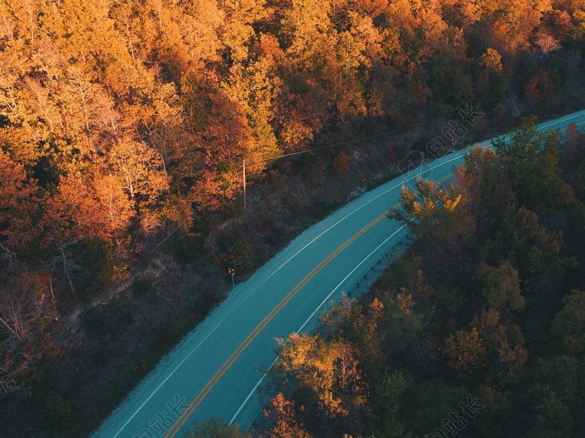 道路 旅途 路途 户外 街道 公路 风景 风光 美景 田园 山水 旅行 旅游 行程 度假 休闲 度假 假日 秋天 秋日 树 树木 树林 森林