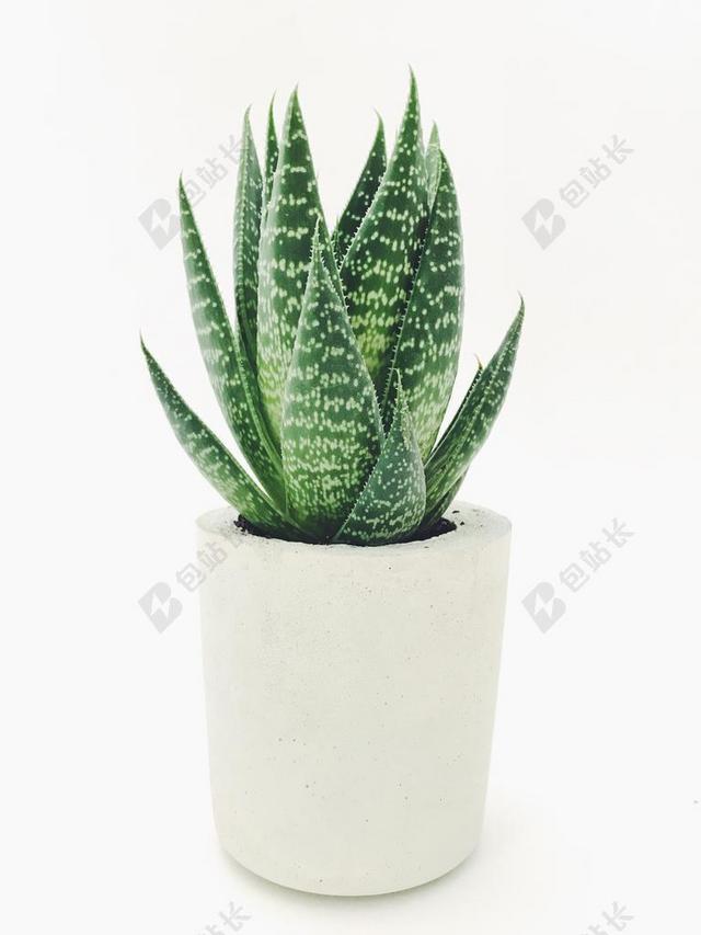 纹理 组织 材料 花纹 灯光 光线 激光 打火机 花园 园林 园艺 植物 花 家 家园 家居 故乡 美丽 休闲 现代 现代化 流行  窗户 雨 下雨 惬意 IPHONE 苹果 苹果手机 商务 白色 浅色 黑白 简单 清新