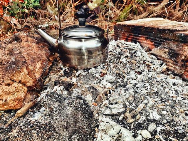 茶 饮茶 茶叶 茶文化