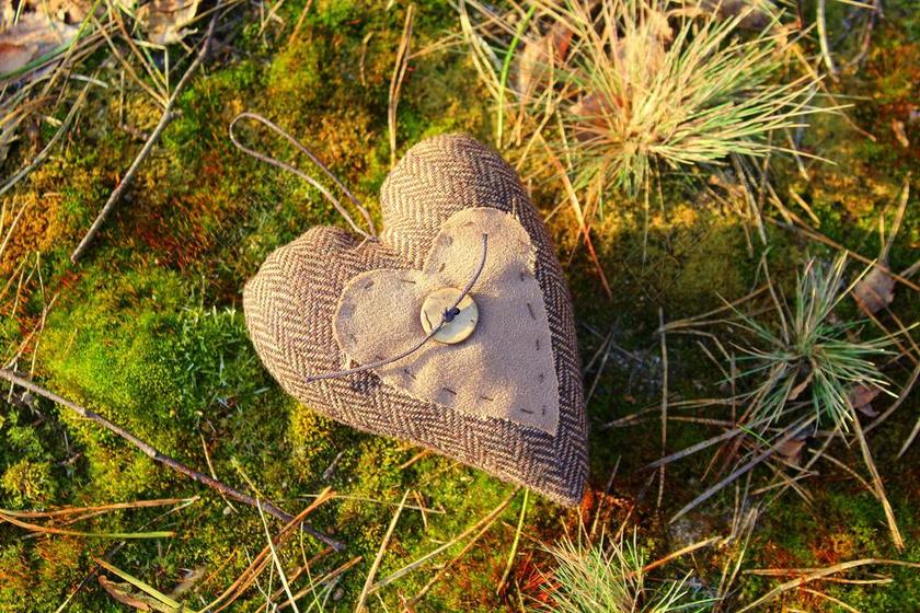 心 情人节那天 情绪 性质 在法院的 苔藓 植物