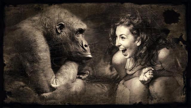作曲 猴子 女子 笑 一张老照片 乌贼墨 布朗 大猩猩