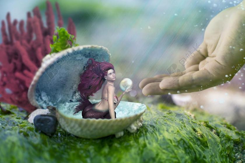 美人鱼 壳 手 海底世界 海外壳 贻贝 珍珠 珊瑚 海