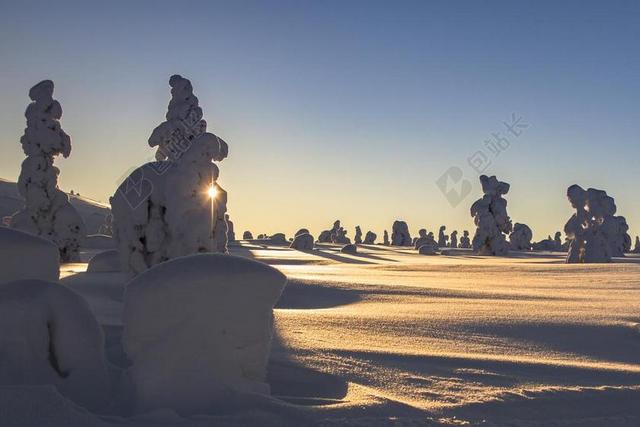 拉普兰 冬天 杰里 雪 景观 寒冬 芬兰 冷 雪景