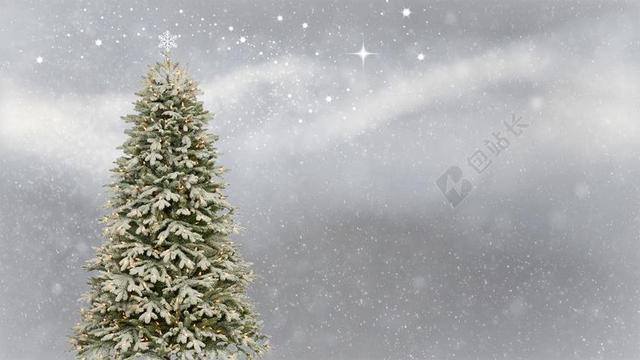 圣诞节 圣诞树 圣诞贺卡 背景 纹理 明星 闪光 雪 灯