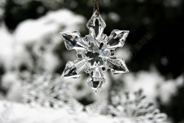 星号 冬季 雪 圣诞节 假期 冰 2018 人类发展报告 》