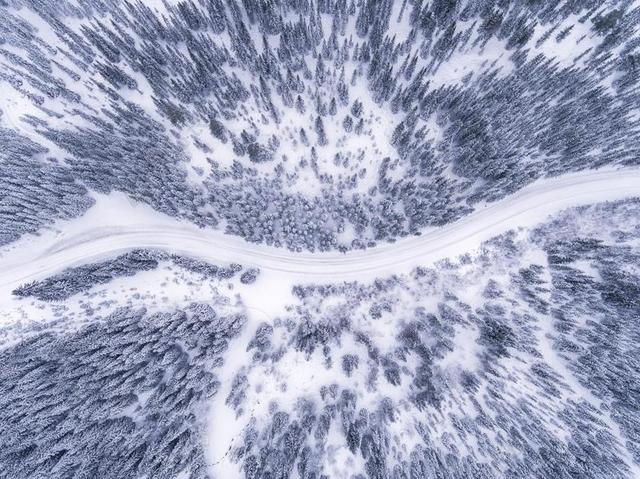 抽象 冒险 空气 美丽 鸟瞰视图 光明 机舱 冷 针叶树