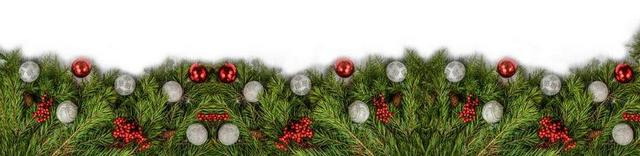 背景 圣诞节 装修 松 度假 庆典 树 枝杈 季节性 装饰
