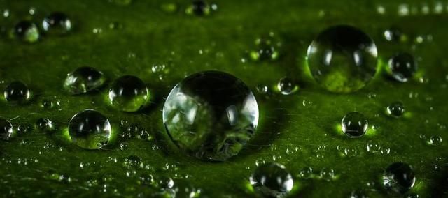 珍珠 湿 水 雨 泡沫 宏 滴