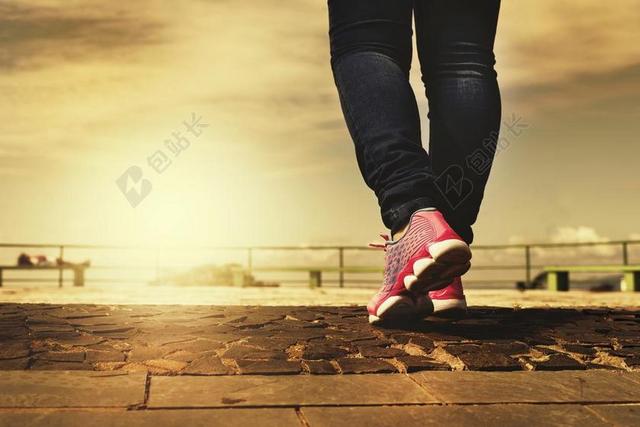 步行 路径 脚 径 网球 性质 鞋子 体育 双腿 女人