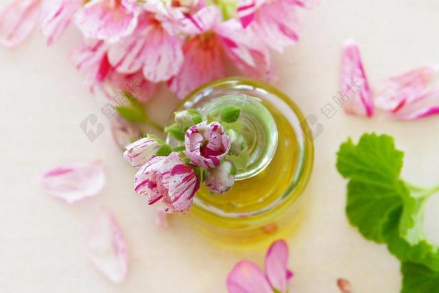 油 天竺葵 叶子 鲜花 精油 香味 保佑你 香气 芳香疗法
