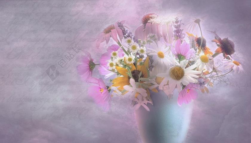 花园 紫 鲜花 宏 散景 花 浪漫 关闭 花宏 宏摄影