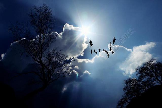 太阳 阳光 冬天 天空 云 性质 云表 蓝色 乌云 积云
