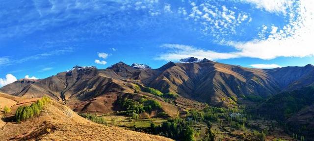 土耳其 秋 季节 性质 美丽 在户外 景观 背景 枯萎的树叶