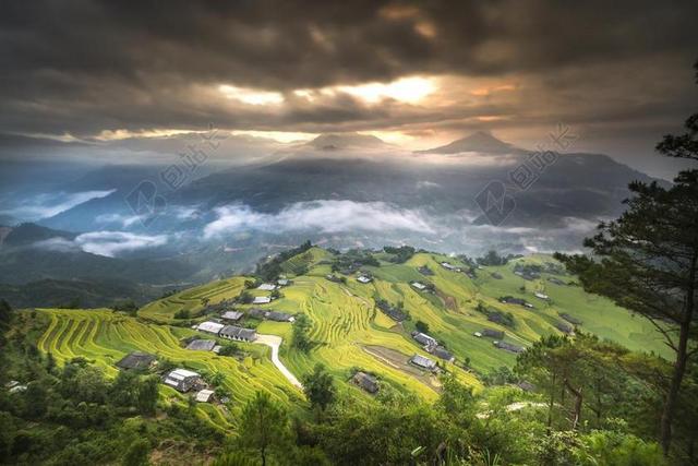 越南 米 稻田 河江 露台 HOANG苏披 旅行 景观 天性