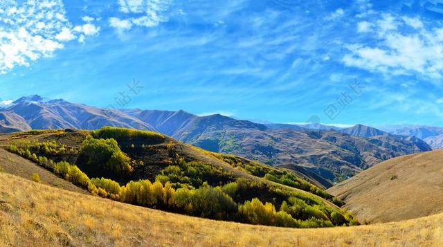 土耳其 秋 季节 性质 美丽 在户外 景观 背景 枯萎的树叶