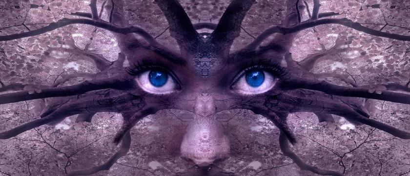 幻想 肖像 审美 森林 皇冠 神秘 童话 说让 神秘生物