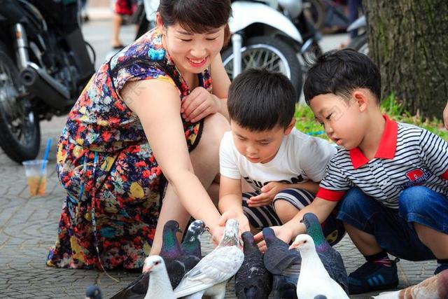 孩子们 女孩 女士 乐趣 童年 鸟 鸽子 婴儿 爱 天性