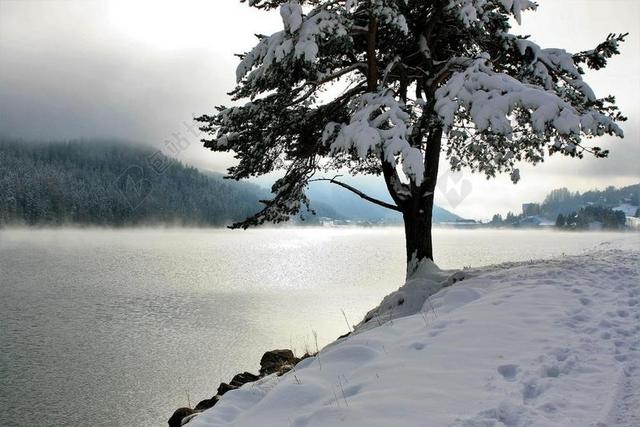 雪 树 针叶树 湖 山 全景图 发光 人类发展报告 》 视图