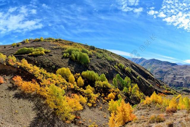 土耳其 秋 季节 性质 美丽 在户外 景观 背景 枯萎的树叶