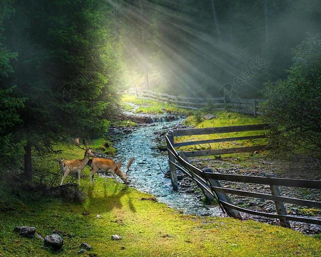 性质 景观 水 山间溪流 大气 山中的小溪 动物 雾 心情