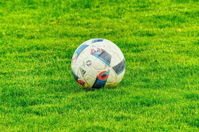 足球 KREISLIGA 体育 球 高峰 足球场 阿迪达斯