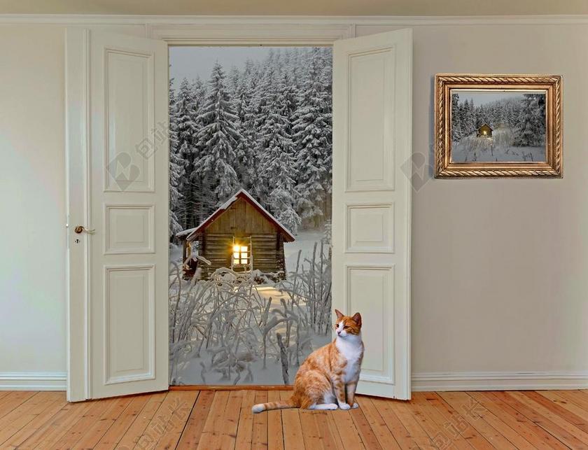 房间 空间 门 房间门 铰链的门 展望 墙 起居室 国内的猫