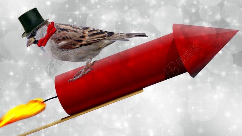 除夕 新的一年的一天 烟花爆竹 年度财务报表 新年除夕 在今年