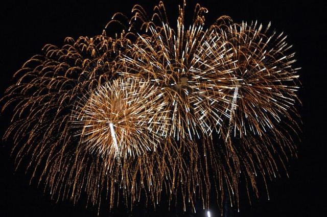 金链花 夜 除夕 烟火 新的一年的一天 烟花爆竹 西尔维斯特