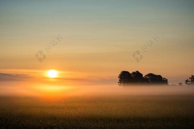 日出 雾 雾银行 景观 性质 MORGENSTIMMUNG 太阳