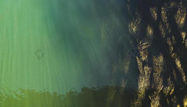 水下 顶视图 水面 海草 水草 多瑙河 海底世界 鸟瞰图 水