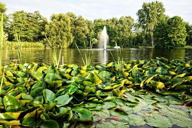 喷泉 池 开 公园 设计 景观 景区 宁静 美丽 花园建筑