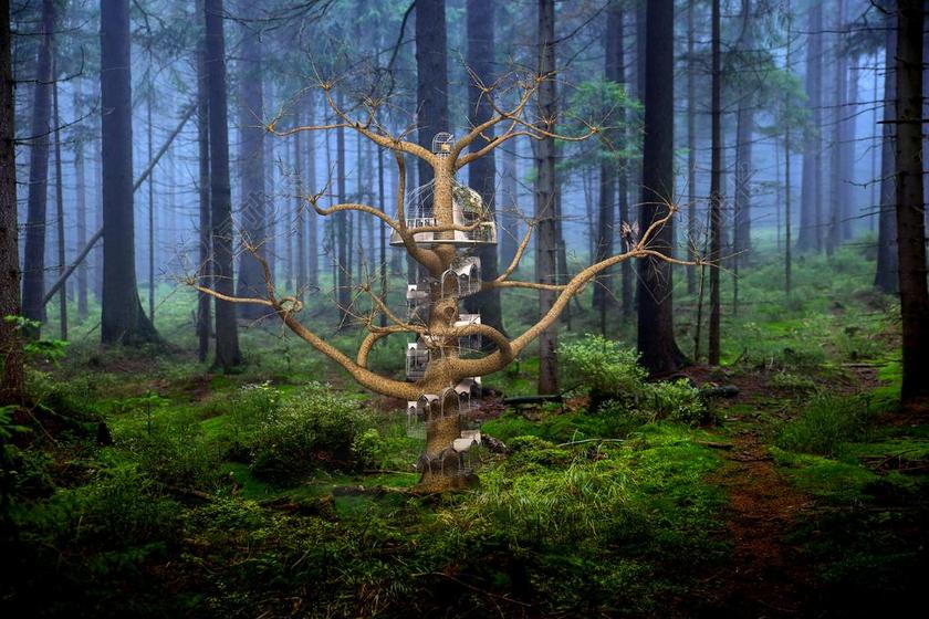 幻想 仙女 王国 魔术 童话 想象力 神奇