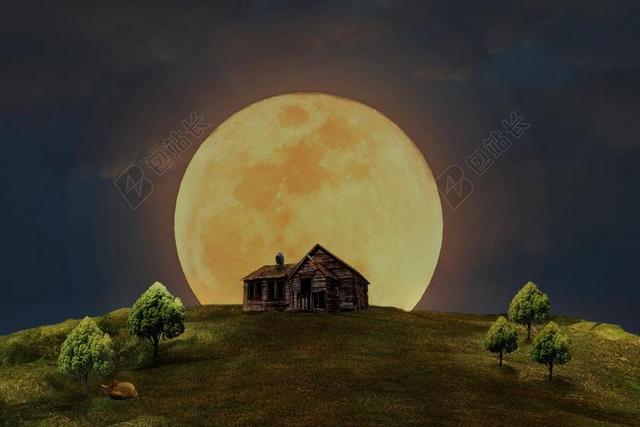 满月 首页 草地 树木 福克斯 猫头鹰 夜 月光 神秘 黑