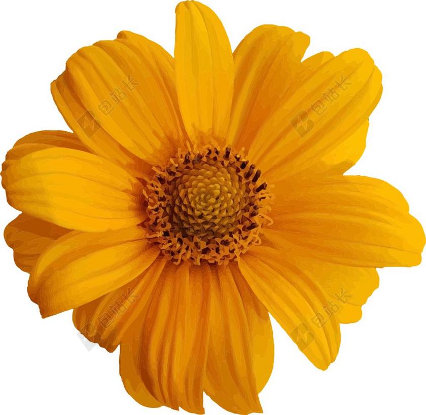 摘要 艺术 艺术作品 背景 美丽  蜜蜂 卡通 剪辑