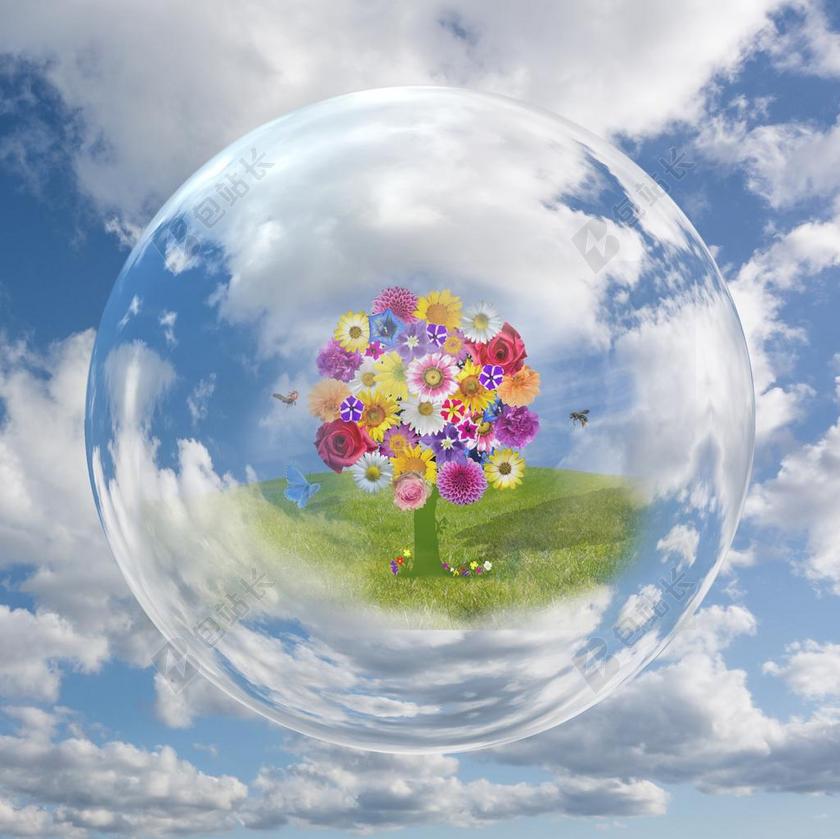 气泡里的鲜花背景图片