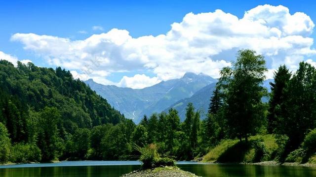 WALDSEE 池塘 山 森林空地 ILLER河畔 手枪