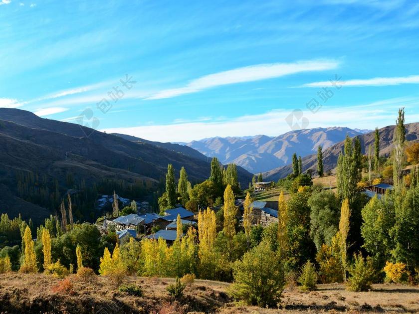 土耳其 秋 季节 性质 美丽 在户外 景观 背景 枯萎的树叶