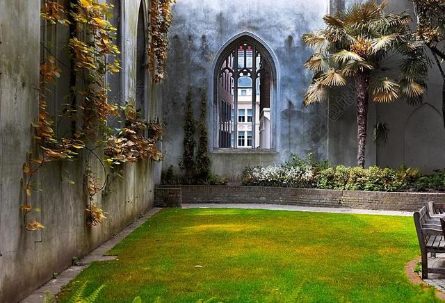 英语 花园 自然 春 花 夏天 英格兰 植物 绿色 院子里