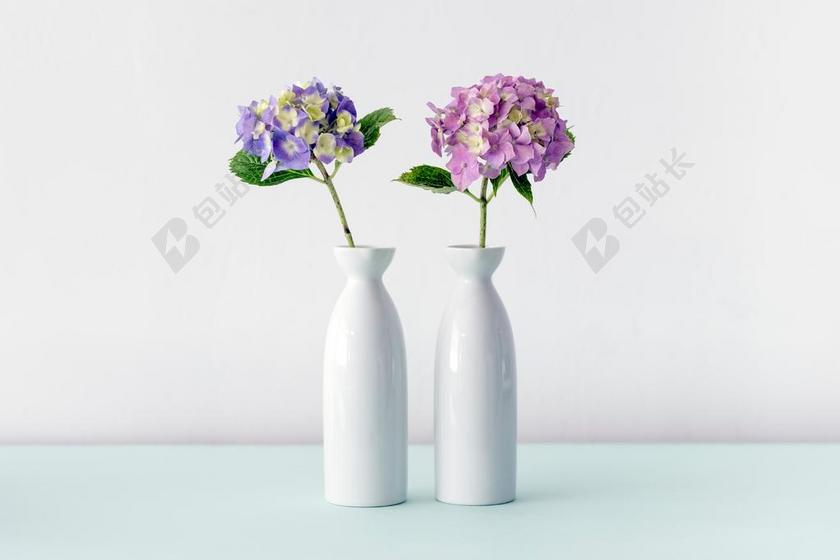 白 陶瓷 花瓶 花 紫色 薰衣草 室内