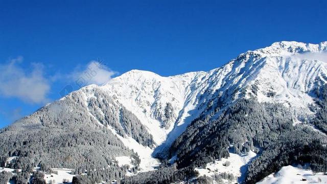 山的美 全景图 性质 白雪皑皑的山脉 上衣 旅游 森林 冬观