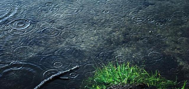 透明的池塘和雨滴背景图片