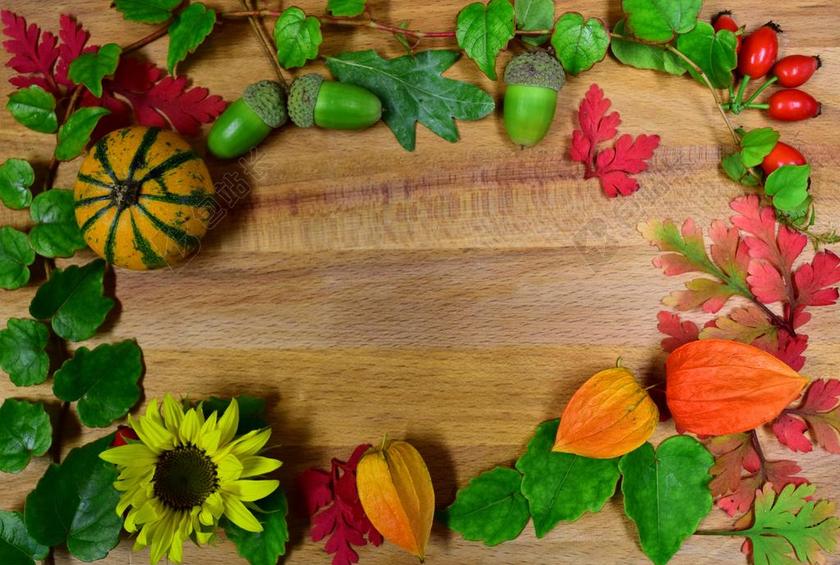 秋季 框架 文本框中 丰富多彩 10 月 秋 秋季装修 装饰