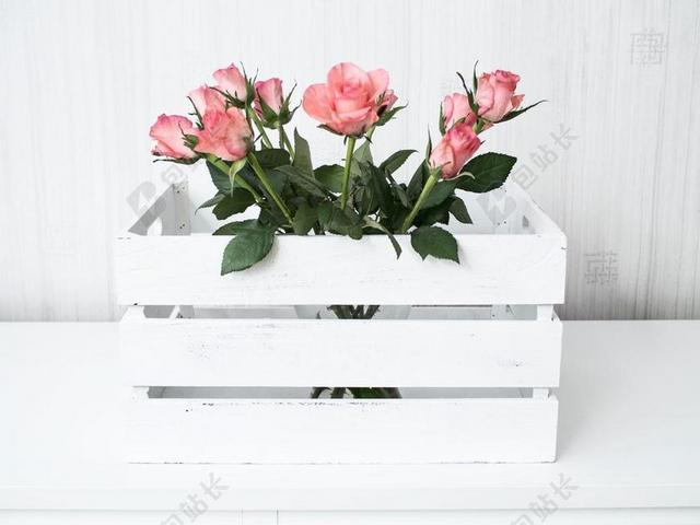 鲜花 玫瑰 箱 美味佳肴 花束 玫瑰花园 花园的花 绽放
