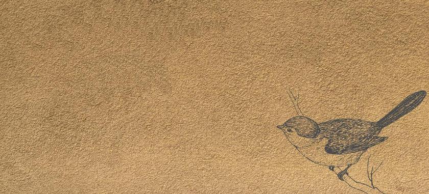 袖口 伟大的标题 横幅广告 褐色 墙 鸟 绘图 可爱 羽毛