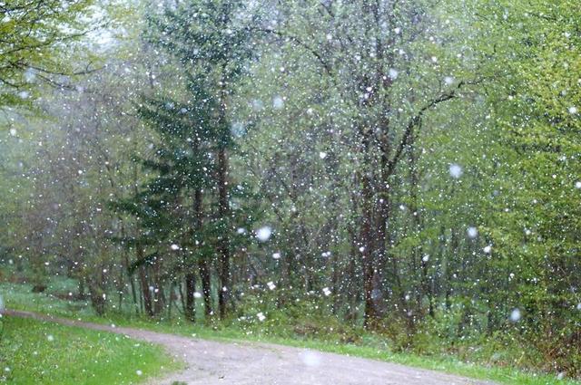 雨 天气 不良 背景 雪 冬季 窗口 风暴 冰雹 白